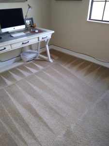 Professional carpet cleaning Boca Raton Florida